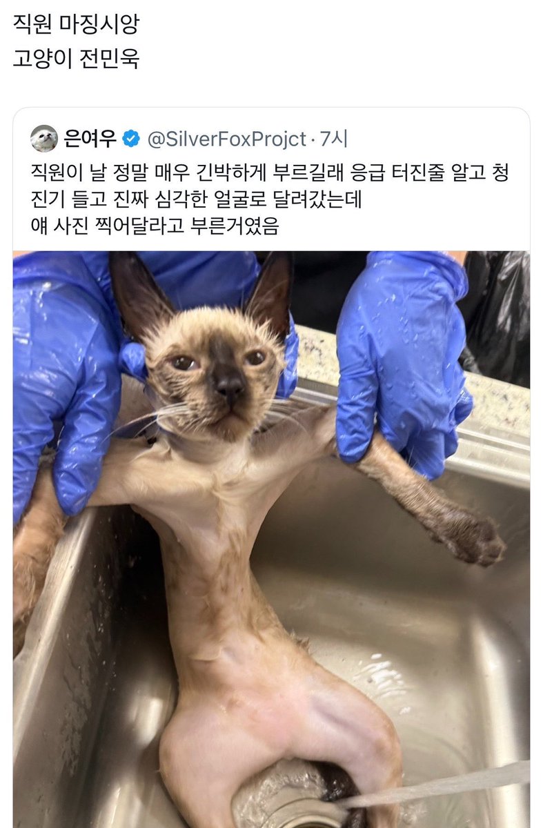 minsomaenim's tweet photo. https://t.co/wDvcYyRiCG