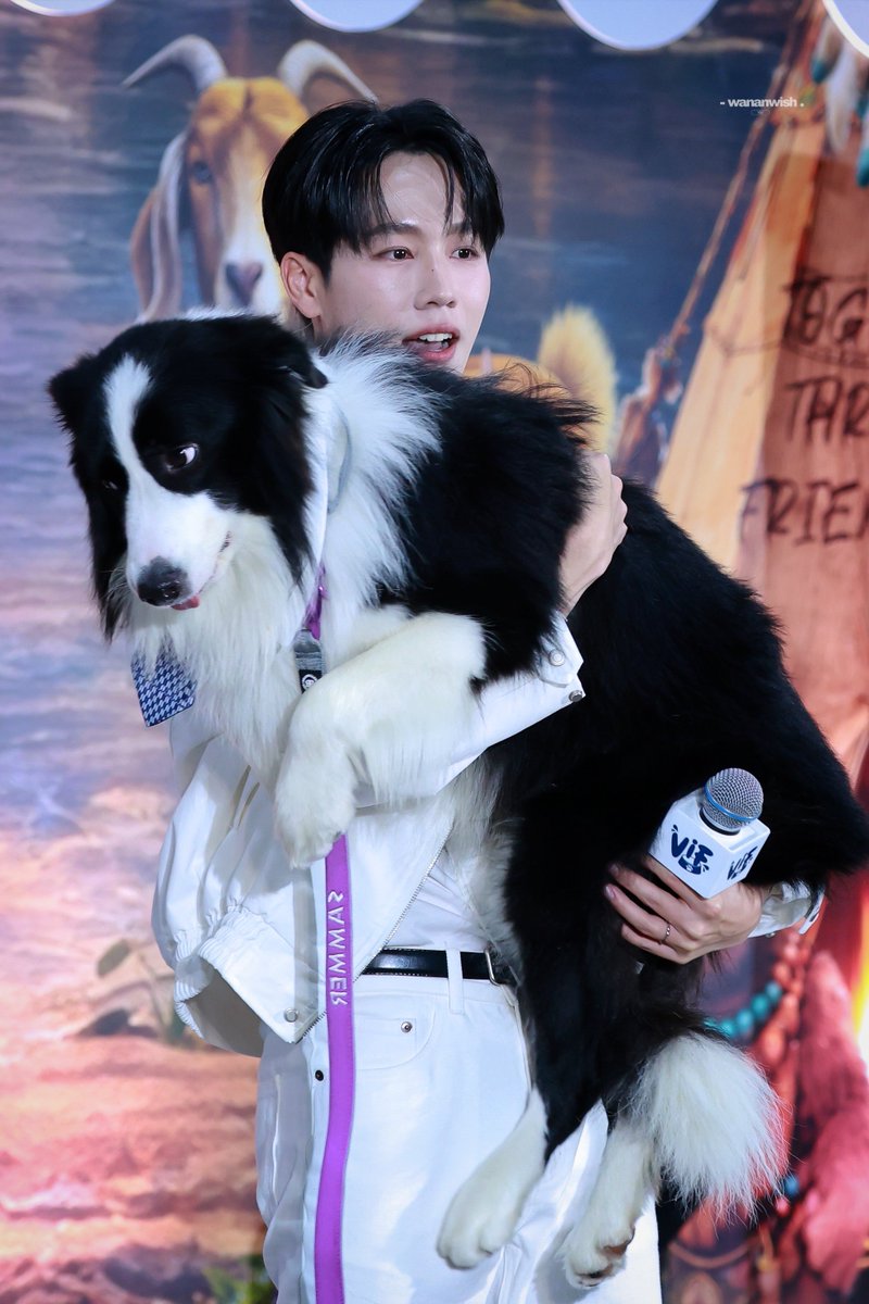wananwish's tweet photo. (02/08/26)

พิเม่อตุวเท่าป๊าเลย

@warwanarat #warwanarat
#sammerbcollie
#VIFxYWZSPetexpo https://t.co/kKGQ7LrCG8