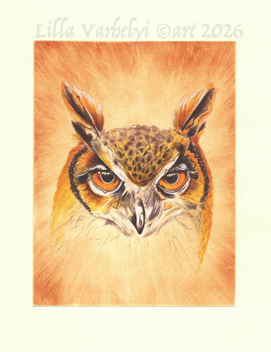 LillaVarhelyi's tweet photo. Heute ist der internationale Tag der Eule🦉
Hab also den 3. Radierung-Druck koloriert😊
Die Druckerfarbe Sienna gebrannt streifig zum Rand hin ausgewischt entstand die streifige Struktur.
#uhu #drypoint #birdlover #radierung #welteulentag #OwlAwarenessDay #Eulen
#art #birdart https://t.co/neGMQb1zIS