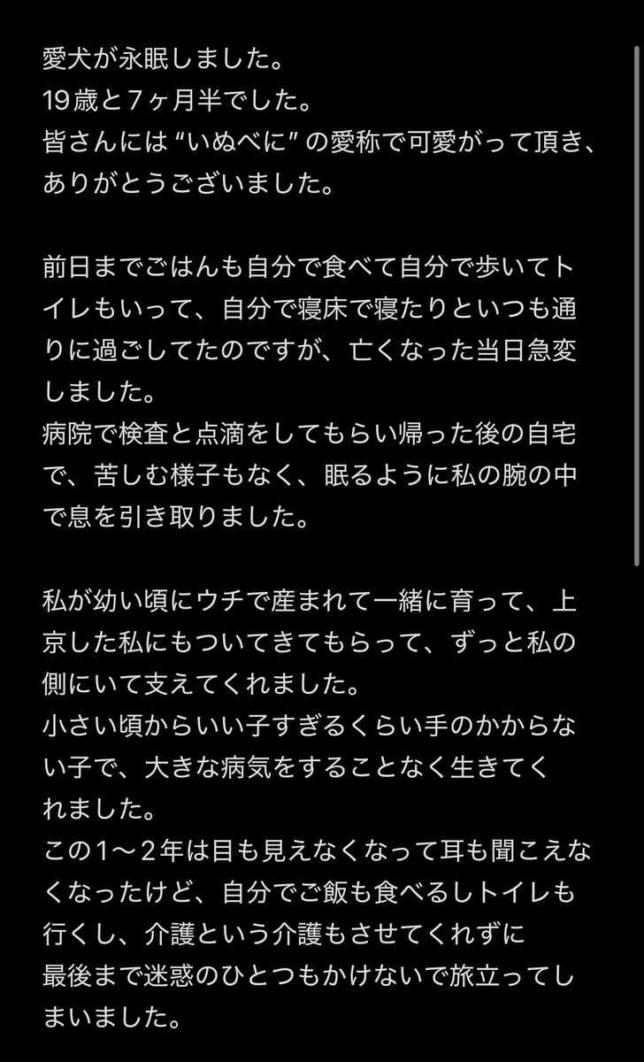 八雲べにさんの愛犬