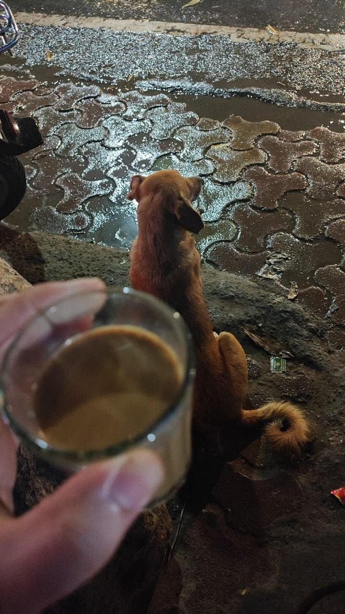 munnii999's tweet photo. 🍺? https://t.co/zfKaLFWSkM