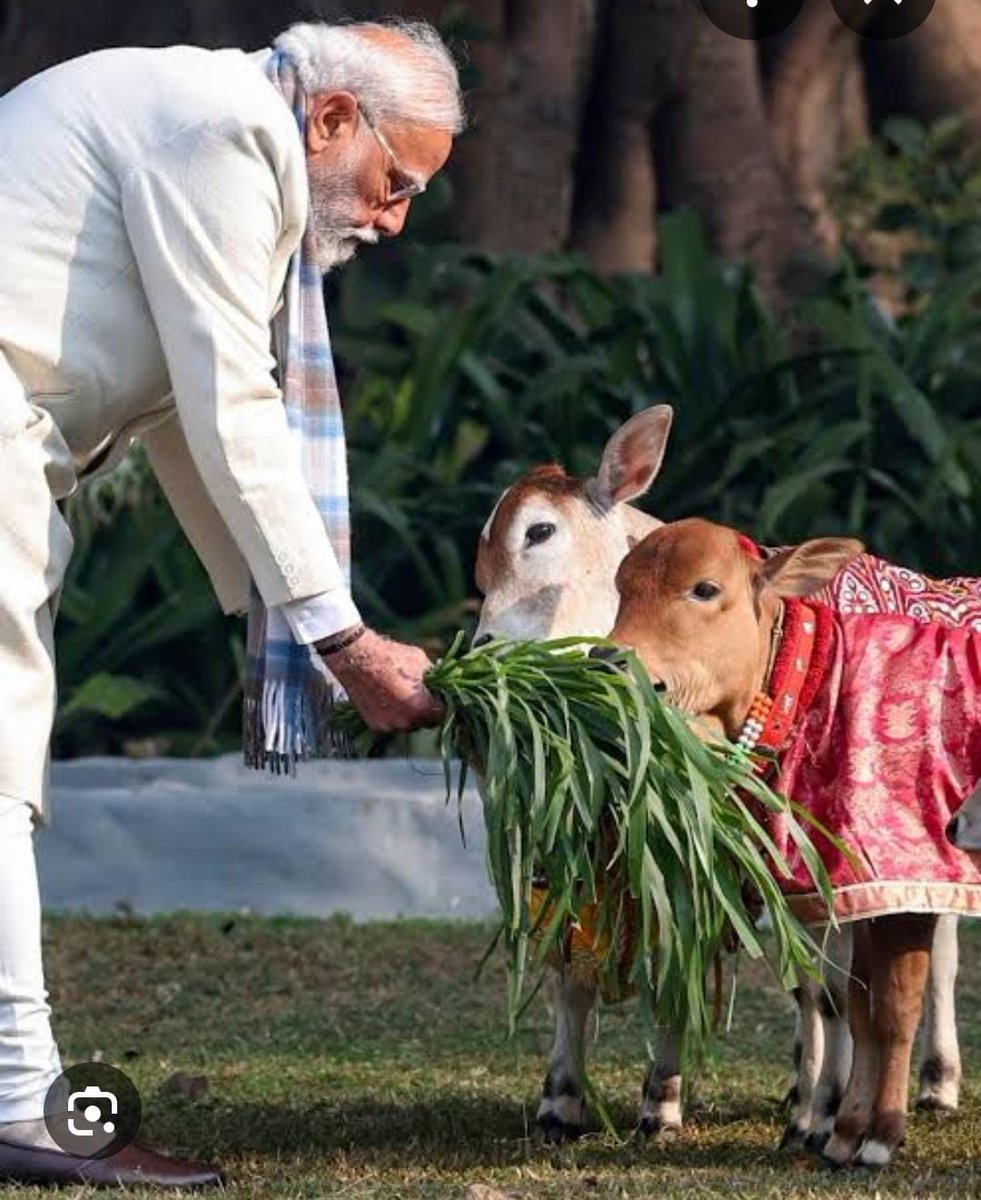 INDARSINGH115's tweet photo. माननीय @PMOIndia 
अपने स्वयं अपने भाषणों में कई बार गौ माता की महिमा का बखान किया है आज उनको गौ माता घोषित करने के लिए यह हमारा ट्वीट है
#GauSamman #GauMata https://t.co/TX3gXc62ij