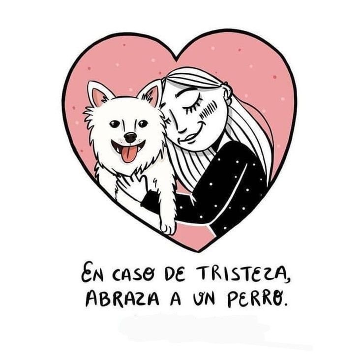 rey_latino33087's tweet photo. https://t.co/TMQgAypxdW