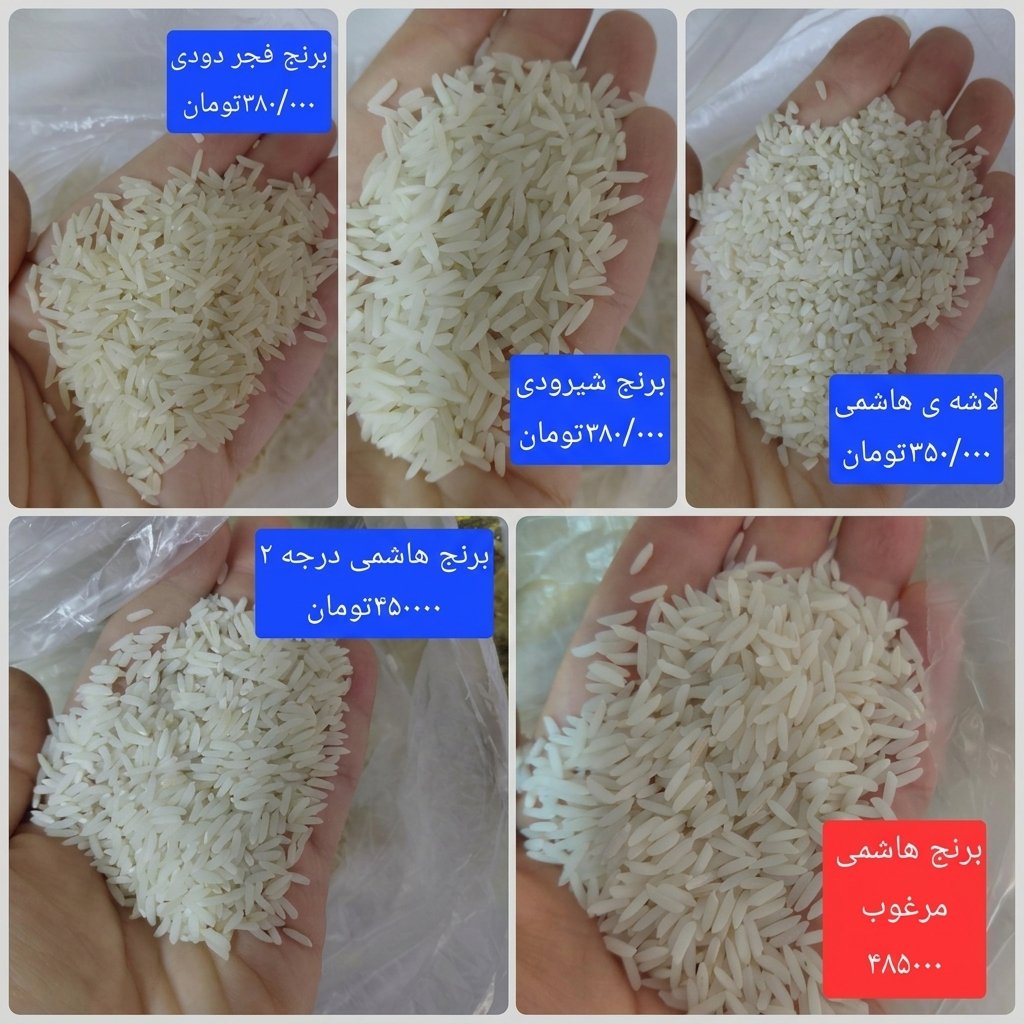 SheidaeeNa40202's tweet photo. موجودی برنج،ارسال نمونه های ده کیلویی
ترشی هفت بیجار محلی تو شیشه های نیم و یک با آبغوره و سرکه کیلویی ۴۵۰ هزار تومان
بچه ها ممنون میشم حمایت کنید بره تایملاین. https://t.co/zPkbjyLuRO