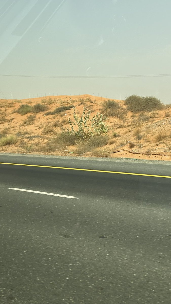 coulddberiri's tweet photo. المنظر الي ماما صفقتني بنص نومتي عشان اقوم اشوفه https://t.co/J9KKLN1epU