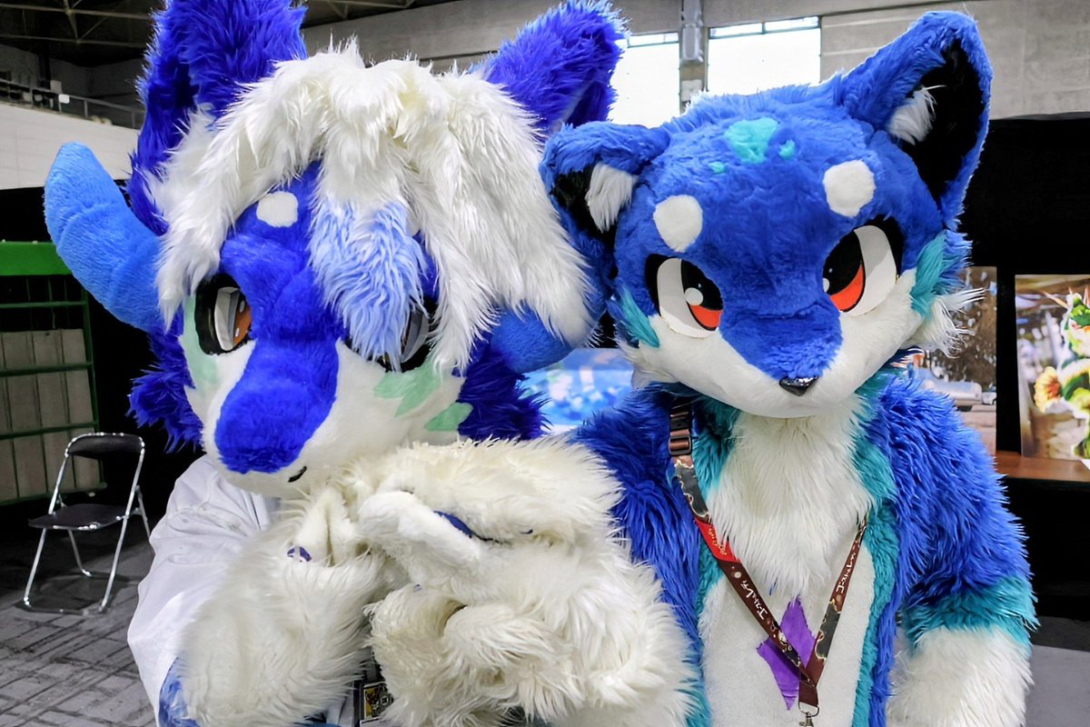yusukemax1's tweet photo. @Shimon_3121
 @lz_luce
#OFFF2026
ルーチェくんとラングさん
お二人共、綺麗な青色で、瞳の差し色も素敵でした。お写真撮らせて頂きありがとうございました🙏 https://t.co/mjnroMdfyl