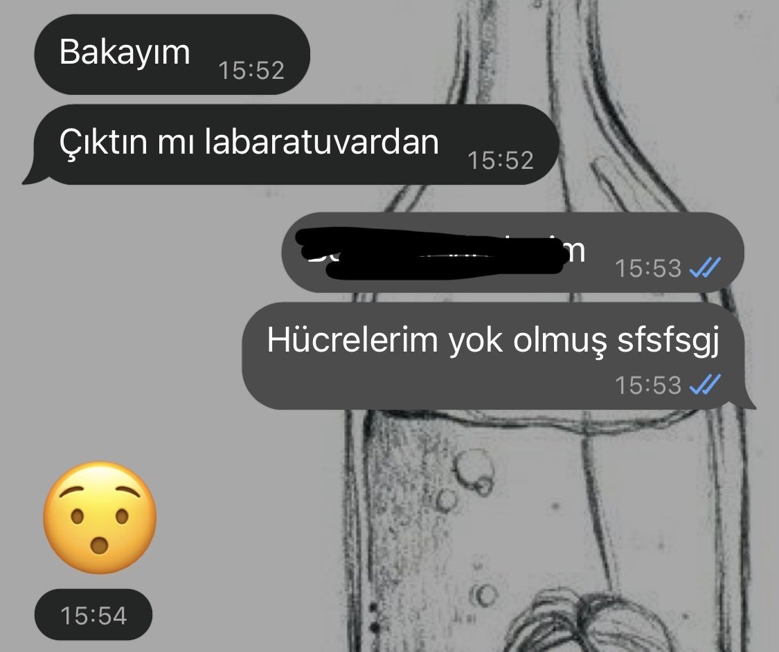 _Mahur_'s tweet photo. Benim deneyin güncel durumu https://t.co/XzWJGyCu5T