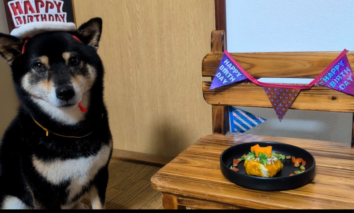 anzu_anzu0803's tweet photo. 8月3日あんず6歳のお誕生日🥳
これからも元気でいてね✨️

#柴犬　#しばいぬ　#黒柴 https://t.co/aYlIUBVT6N