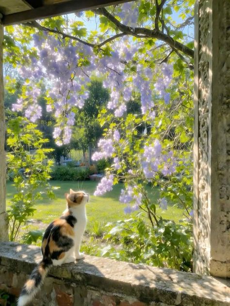 kookie_sofi's tweet photo. https://t.co/KcUT1xotnd