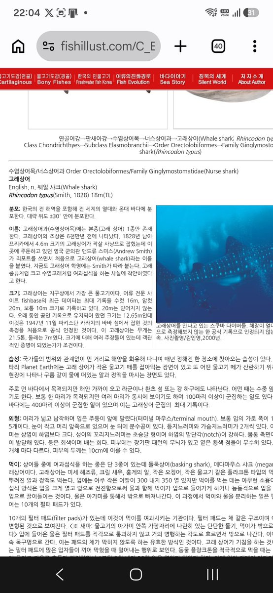 minsugi26277289's tweet photo. 서기 2026년 양력 8월 4일 한 주의 세번째 날인 화요일날 올리는 게시물입니다.

고래상어는 상어입니다!

먹이 먹는 방식이 고래랑 비슷하고 고래처럼 덩치가 커서 고래상어라는 이름이 붙었대요~그리고 고래상어는 현존하는 물고기(어류) 중 가장 큰 물고기라고 합니다!!! https://t.co/O2QcjjTqU9