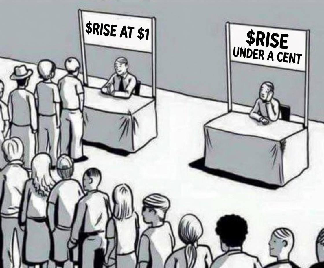 JustACatOG's tweet photo. @ottabag No troll, RISE right now feels so free https://t.co/EXPxWoGBxo