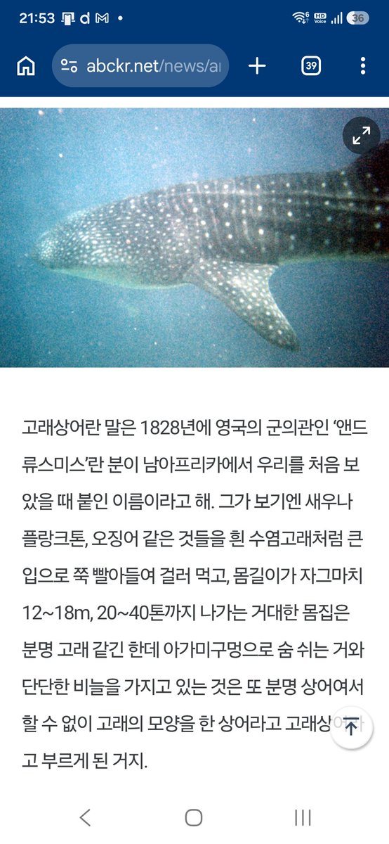 minsugi26277289's tweet photo. 서기 2026년 양력 8월 4일 한 주의 세번째 날인 화요일날 올리는 게시물입니다.

고래상어는 상어입니다!

먹이 먹는 방식이 고래랑 비슷하고 고래처럼 덩치가 커서 고래상어라는 이름이 붙었대요~그리고 고래상어는 현존하는 물고기(어류) 중 가장 큰 물고기라고 합니다!!! https://t.co/O2QcjjTqU9