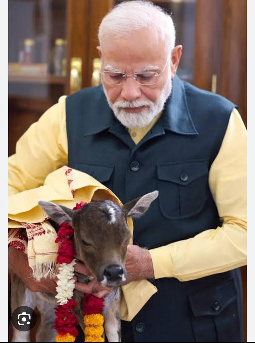 INDARSINGH115's tweet photo. माननीय @PMOIndia 
  गौ माता के सम्मान और संरक्षण में अति शीघ्र ध्यान दें और गौ माता को राष्ट्रमाता का दर्जा प्रदान करें| #गोमाता_राष्ट्रमाता https://t.co/arSQxUyxaj