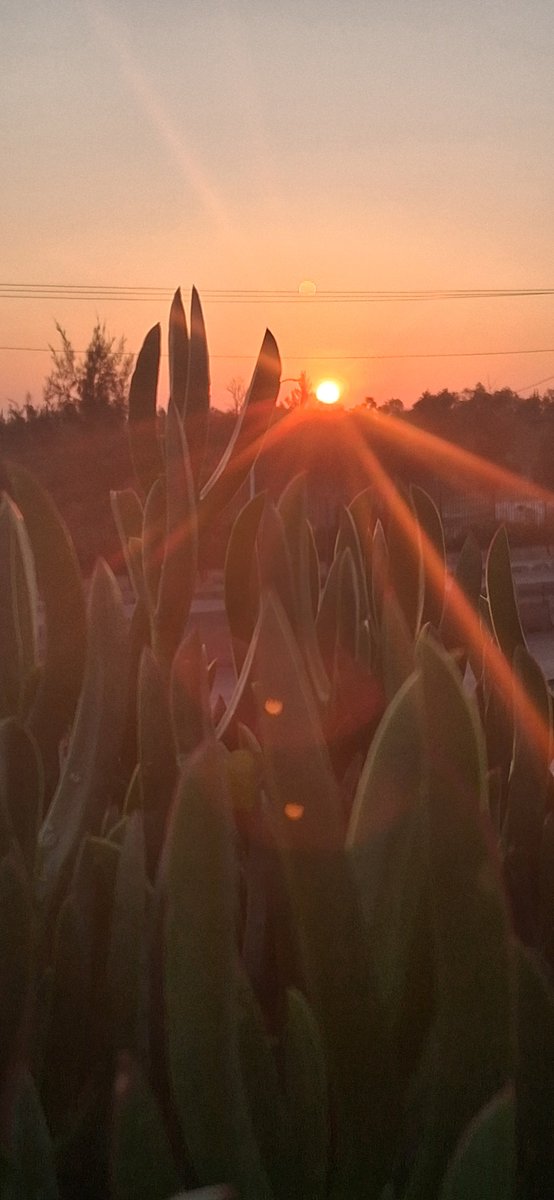 RAGSLP's tweet photo. ¡BD☀️
#SanLuisPotosí ❤️ https://t.co/0lckxvNQ2h