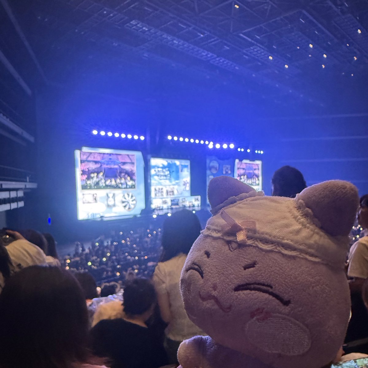 sn0710z's tweet photo. ドギ‼️楽しかったね‼️‼️

ﾄﾞｷﾞ「にっっっ‼️‼️‼️‼️🌟🌟🌟🌟」 https://t.co/cVf6zL9hDK