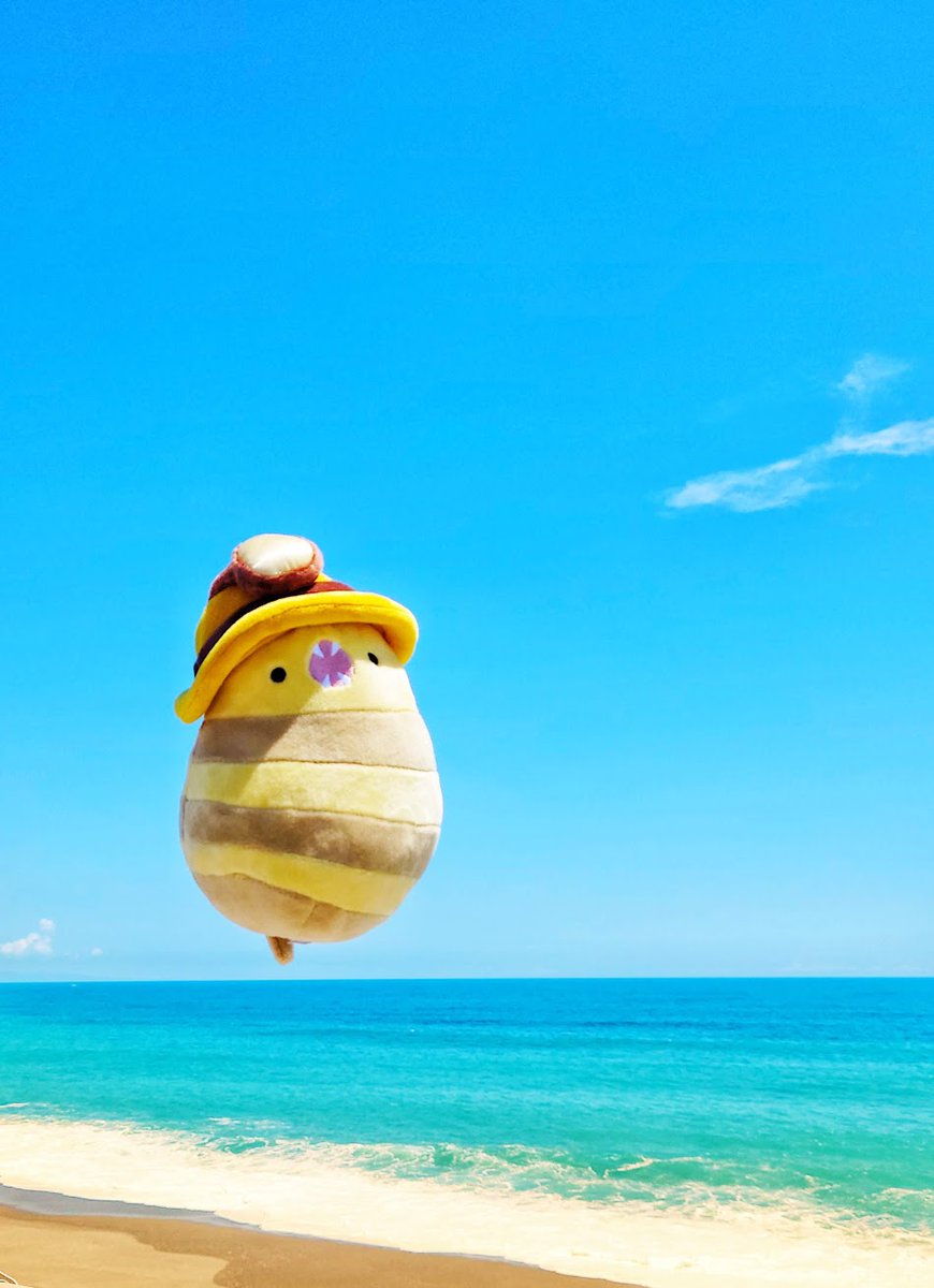 cefirororo_9191's tweet photo. ｳｪﾐﾀﾞｰ!! https://t.co/lcgTn4WDOt