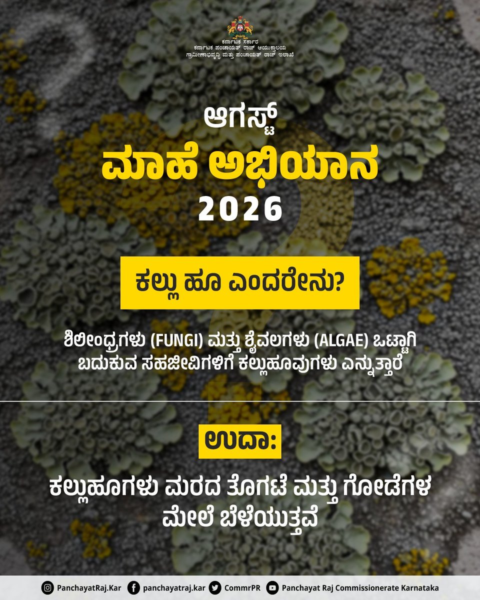 CommrPR's tweet photo. ಮಕ್ಕಳಲ್ಲಿ ��ೇಶಪ್ರೇಮ, ಸೃಜನಶೀಲತೆ ಹಾಗೂ ಪರಿಸರ ಪ್ರಜ್ಞೆ ಬೆಳೆಸುವ ನಿಟ್ಟಿನಲ್ಲಿ ಈ ಅಭಿಯಾನದಲ್ಲಿ ಸಕ್ರಿಯವಾಗಿ ಪಾಲ್ಗೊಳ್ಳಿ. 2/2

#RDPR #GramPanchayat #ArivuKendra #augustactivities

@eshwar_khandre https://t.co/bl848d2nRy