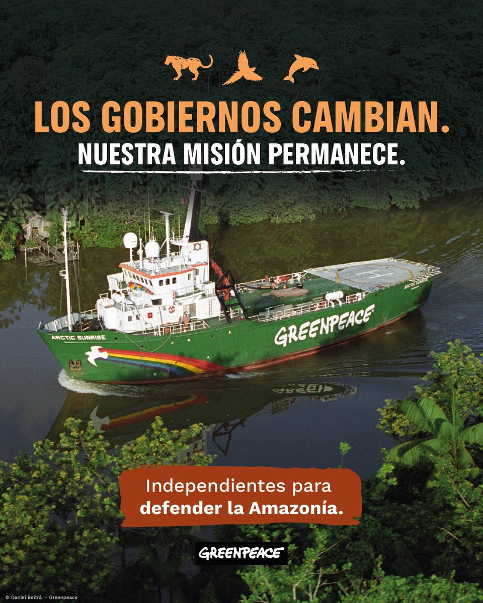 GreenpeaceColom's tweet photo. Desde Greenpeace Colombia hemos defendido y seguiremos defendiendo la naturaleza con independencia política y económica.

Nuestra posición no depende de quién gobierne. Nuestra responsabilidad es con la naturaleza y con las personas. Por eso seguiremos haciendo seguimiento a las decisiones públicas, proponiendo soluciones y exigiendo acciones concretas para proteger la Amazonía.

En medio del empalme, hay una prioridad que no debería estar en discusión: frenar la deforestación, cuidar los Parques Nacionales Naturales y proteger a las comunidades que habitan y defienden el territorio.

La Amazonía debe permanecer en el centro de las decisiones del país. Firma ahora. https://t.co/ZTnxy4KDDY

#SaberProtegeLaAmazonía #Amazonía #Deforestación #GreenpeaceColombia