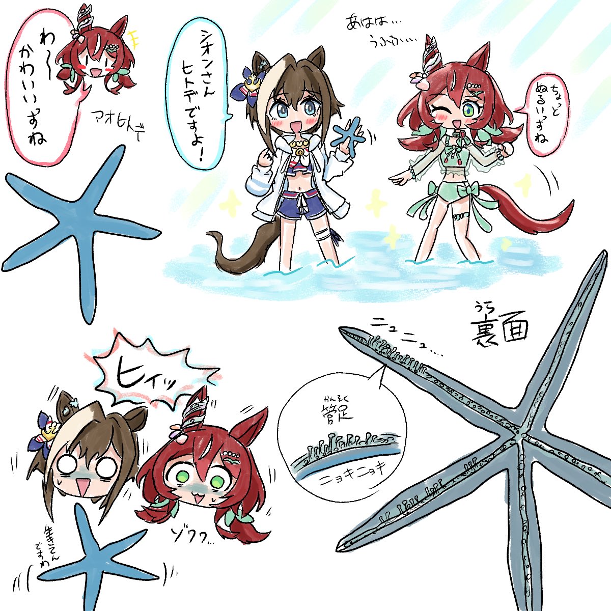puchan_rachan's tweet photo. ヒトデ☆ https://t.co/XWoAeXsfej