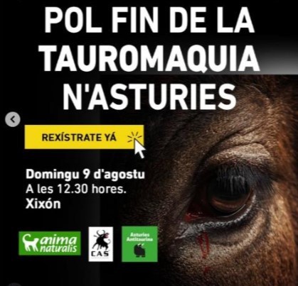 Asturies_insu's tweet photo. AICIÓN ESCONTRA LA TAUROMAQUIA

DOMINGU 9 D’AGOSTU. 12:30 h. PLAZA’L MARQUÉS. XIXÓN. ASTURIES.

¡POLA ABOLICIÓN DE LA TAUROMAQUIA!.

Canal de Telegram: https://t.co/H0mcv1U2r0 https://t.co/3xKpcssdQz