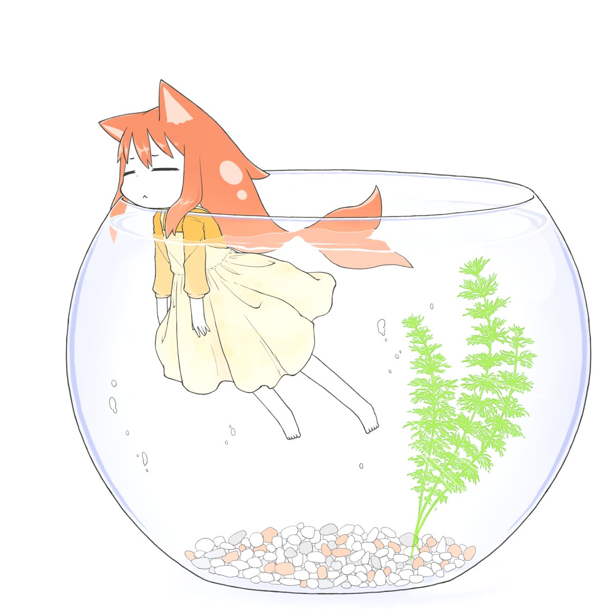 dai_o's tweet photo. 今日も再掲しちゃう… https://t.co/QRuQl2jMOf