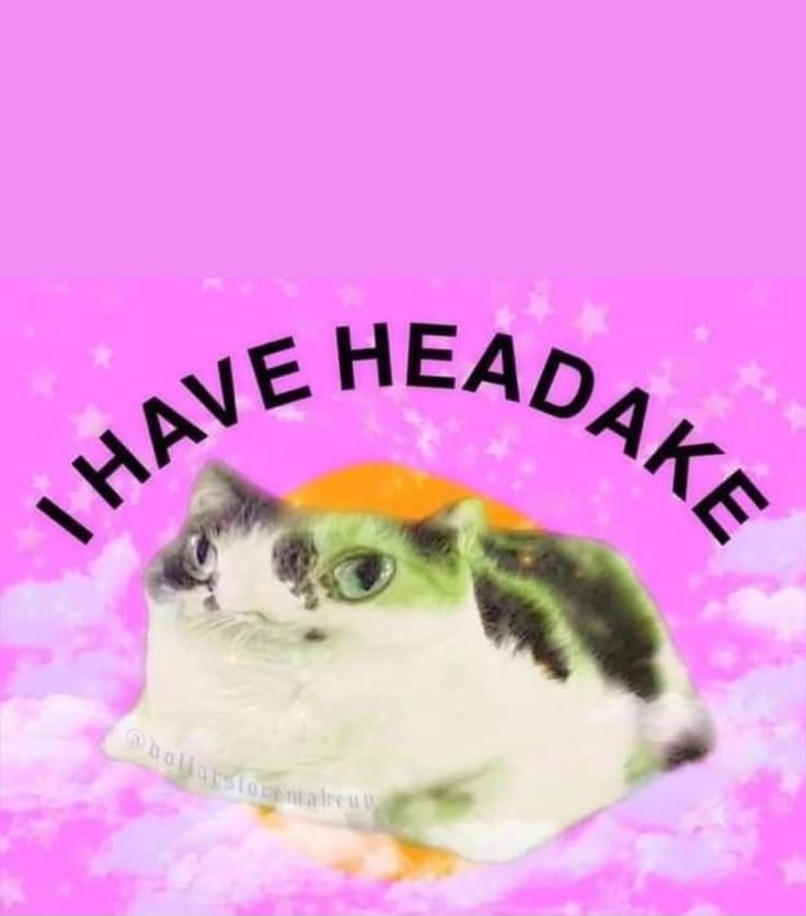 choochoomagoo2's tweet photo. Ive got a severe migraine flare up rn so I figured no better time than now to share my gofundme link again 👍 if you cant donate pls share so it can maybe reach someone who can donate im desperate rn theyre taking their time on my case https://t.co/iyiAFtuQ0M