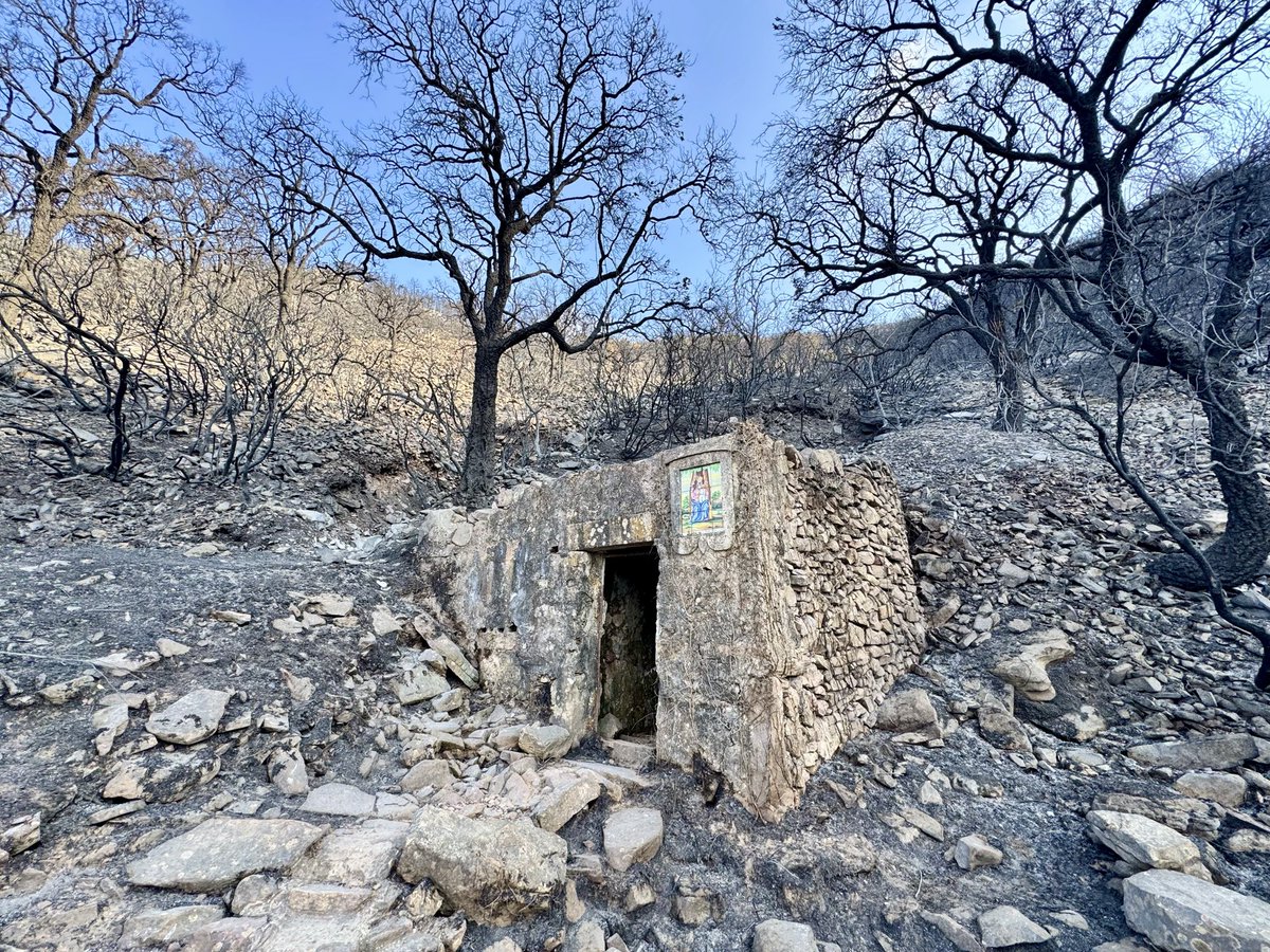 vicent_ibanyez's tweet photo. Ayer me dieron permiso para intentar llegar a Font de Cabres, uno de los lugares más queridos por los que amamos estas montañas, y especialmente por los vecinos de mi pueblo, la Vilavella. Tenía la esperanza de que algún rincón, o al menos algo se hubiera salvado,👇🏻 https://t.co/2tzeQrnohh