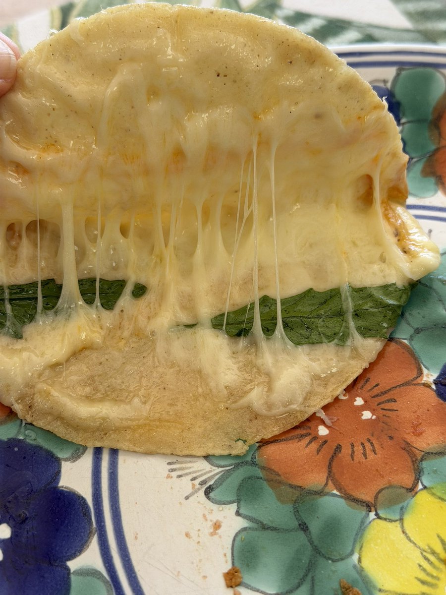 gabrielguerrac's tweet photo. Este mundo se divide claramente en dos: quienes creen que las quesadillas no llevan epazote y quienes SABEMOS que las quesadillas llevan epazote. 
Sí vamos a polarizar, que sea por cosas realmente importantes: https://t.co/hgoyapfy2V