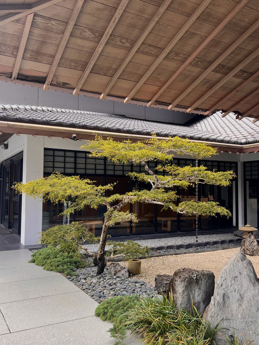 Aoi_yyj's tweet photo. Japanese gardens in Miami？ https://t.co/rcw5FgQT1V