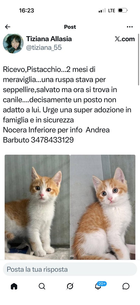 ElisabettaPolet tweet picture