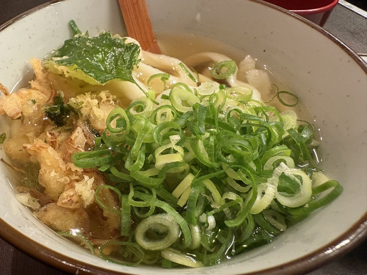 moya_tera's tweet photo. 『手打ちうどん ごだいさん』
かけうどん(冷・ネギ多)とおでん(たまご)を発注です。
高賀神水を使用してる、多加水麺。
冷やしでももっちり、すぐ切れるくらいの歯応え。
地元民でも独特らしい…
かけなのに大葉と野菜のかき揚げ天入り。
いりこ香るあっさり汁。
おでんは味噌推奨なり。
〜モヤてら〜 https://t.co/RIJyRNL4TZ