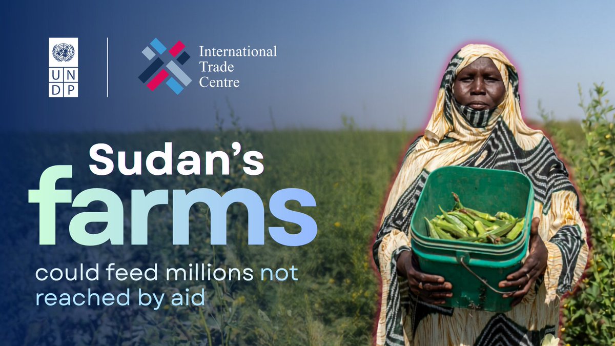 UNDPQatar's tweet photo. Sudan's farms could feed millions beyond those reached by aid.
Unlocking that potential means investing in farmers, connecting them to markets and keeping food trade moving.

Read our latest analysis with @ITCnews on Sudan’s agricultural trade potential: https://t.co/epvKuHgOqg https://t.co/Mquiu5e1C9