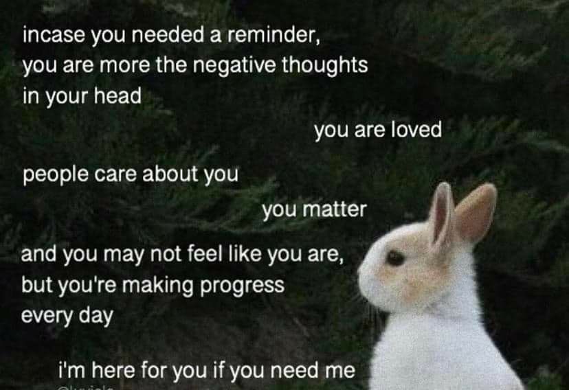 sullytbh's tweet photo. To all my moots https://t.co/d8YGALB59E