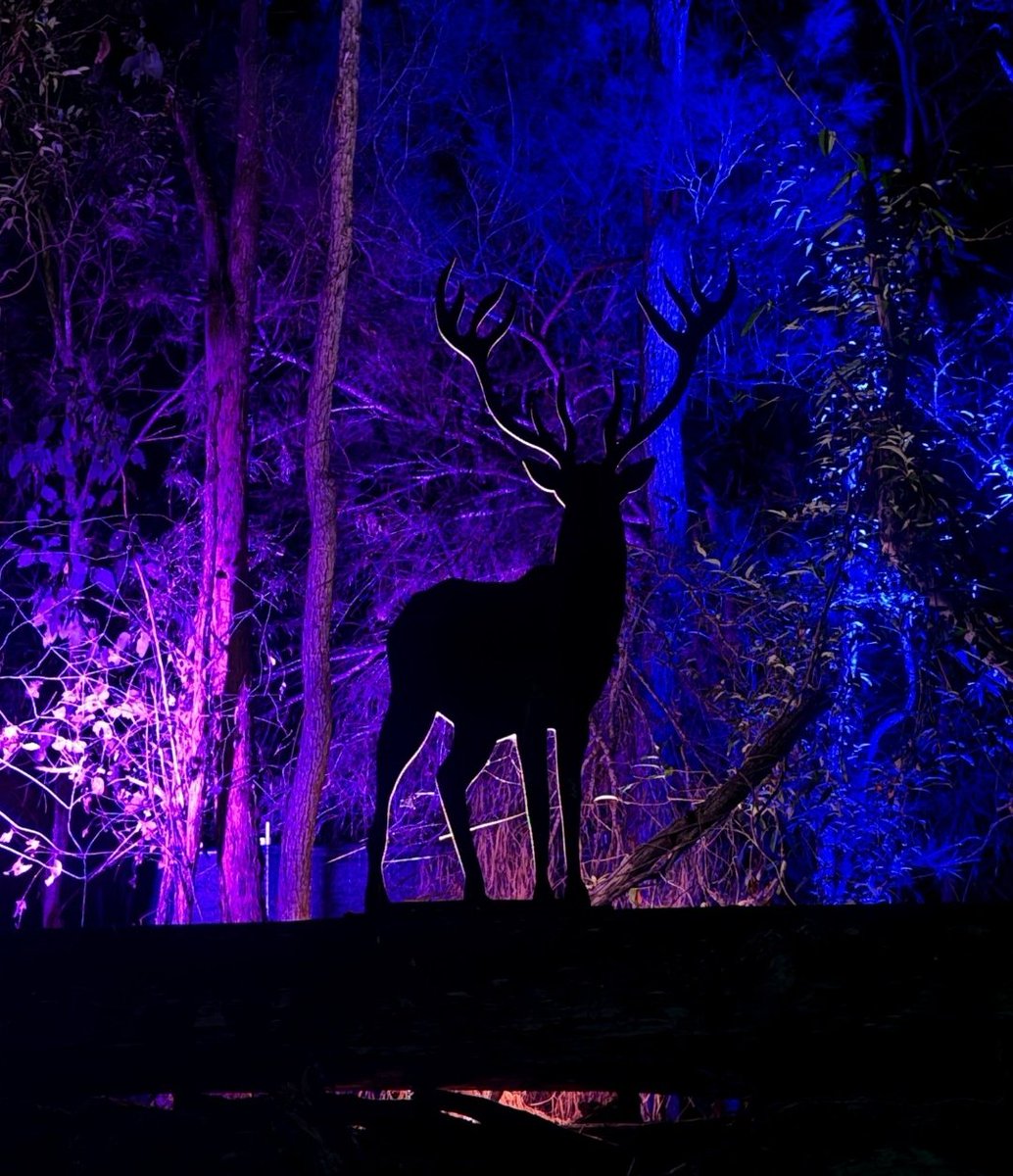 tokenzier's tweet photo. bisexual deer https://t.co/1yK1USlPuD