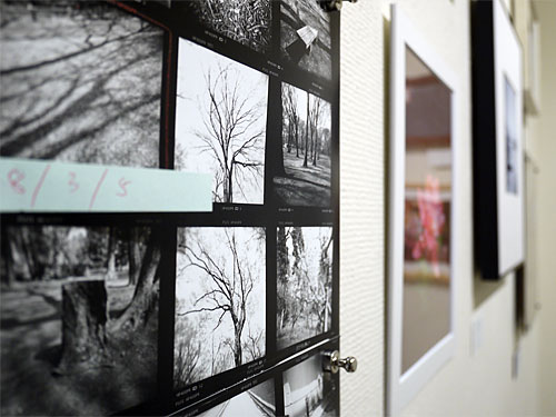 gallery_avi's tweet photo. ギャラリー・アビィでは本日から8月9日までHOLGA会写真展「HOLGA EXPO 2026(大阪開催)」を開催します！毎年夏を彩るトイカメラキング・HOLGAだけの写真展。2002年から始まり遂に四半世紀、25回目の夏！残念ながら今回がファイナル開催となりますが、大阪27名、東京23名が集まって有終の美を飾ります！皆様、お見逃しなく～！ 
https://t.co/bQaXTuIWXX