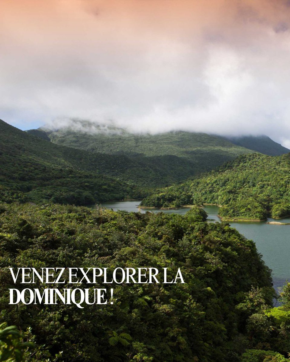 VVardikos's tweet photo. #Dominica #Caribbean #nature #island #Dominique #Caraibes #citoyenneté #investissement #propriété #passeport #sansvisa #liberté #France #French #Africa #Nigeria #citizenship #investment #dualcitizenship #secondcitizenship #secondpassport #CitizenshipByInvestment https://t.co/YuvJCoHseo