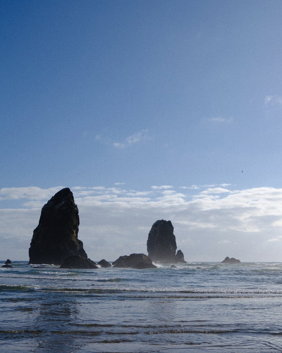 ctrlarchive's tweet photo. oregon coast / august’26 https://t.co/jLIzNltCuA