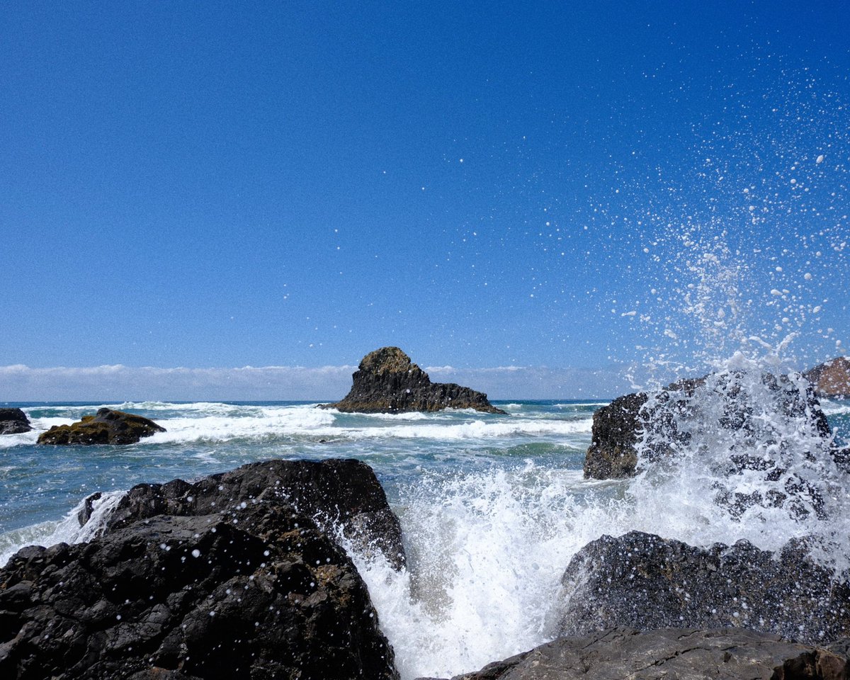 ctrlarchive's tweet photo. oregon coast / august’26 https://t.co/jLIzNltCuA