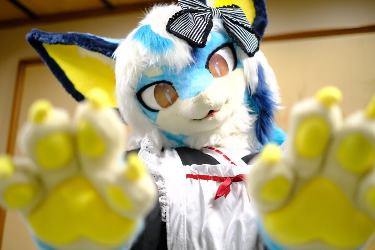ruri_furry's tweet photo. お疲れみたいですね、肉球はいかがですか？ https://t.co/LlcPRFP7hr