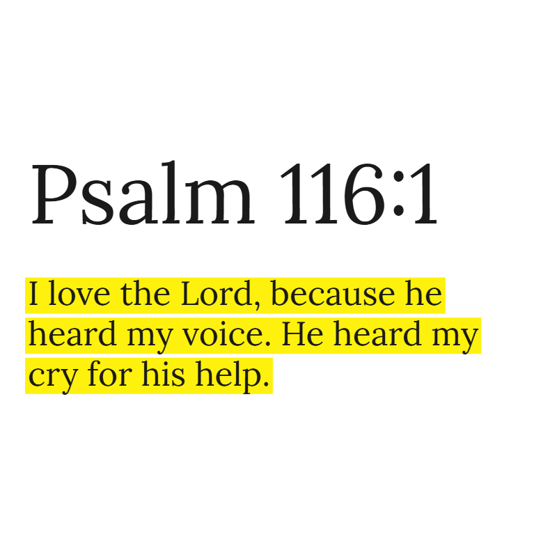 HolyBiblePosts's tweet photo. https://t.co/ebjd9VhCm8