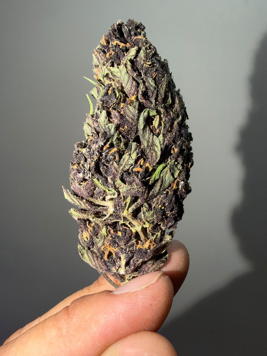 EVAuthoHub's tweet photo. Weed Bridgeport Weed New Haven Weed Hartford Weed Stamford Weed Waterbury Weed Norwalk Weed Danbury Weed New Britain Weed West Hartford Weed Greenwich Weed Hamden Weed Meriden Weed Bristol Weed Manchester Weed West Haven Weed Stratford Weed Milford Weed Torrington #altın #salı https://t.co/cBh3wKZdyl