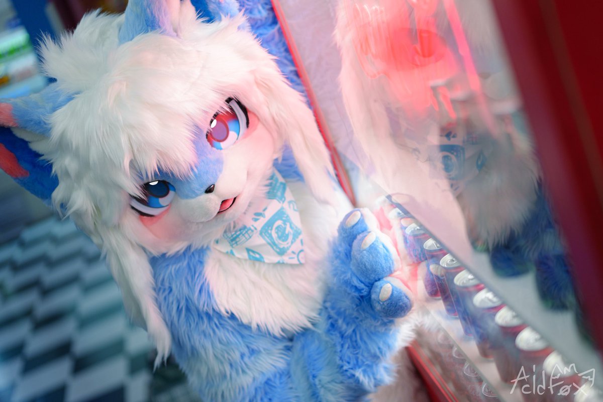 chavi_fur's tweet photo. 이렇게 더운 날에는 시원한 콜라가 좋아••🧊

#FursuitEveryday #fursuit https://t.co/oeBWZMstBy
