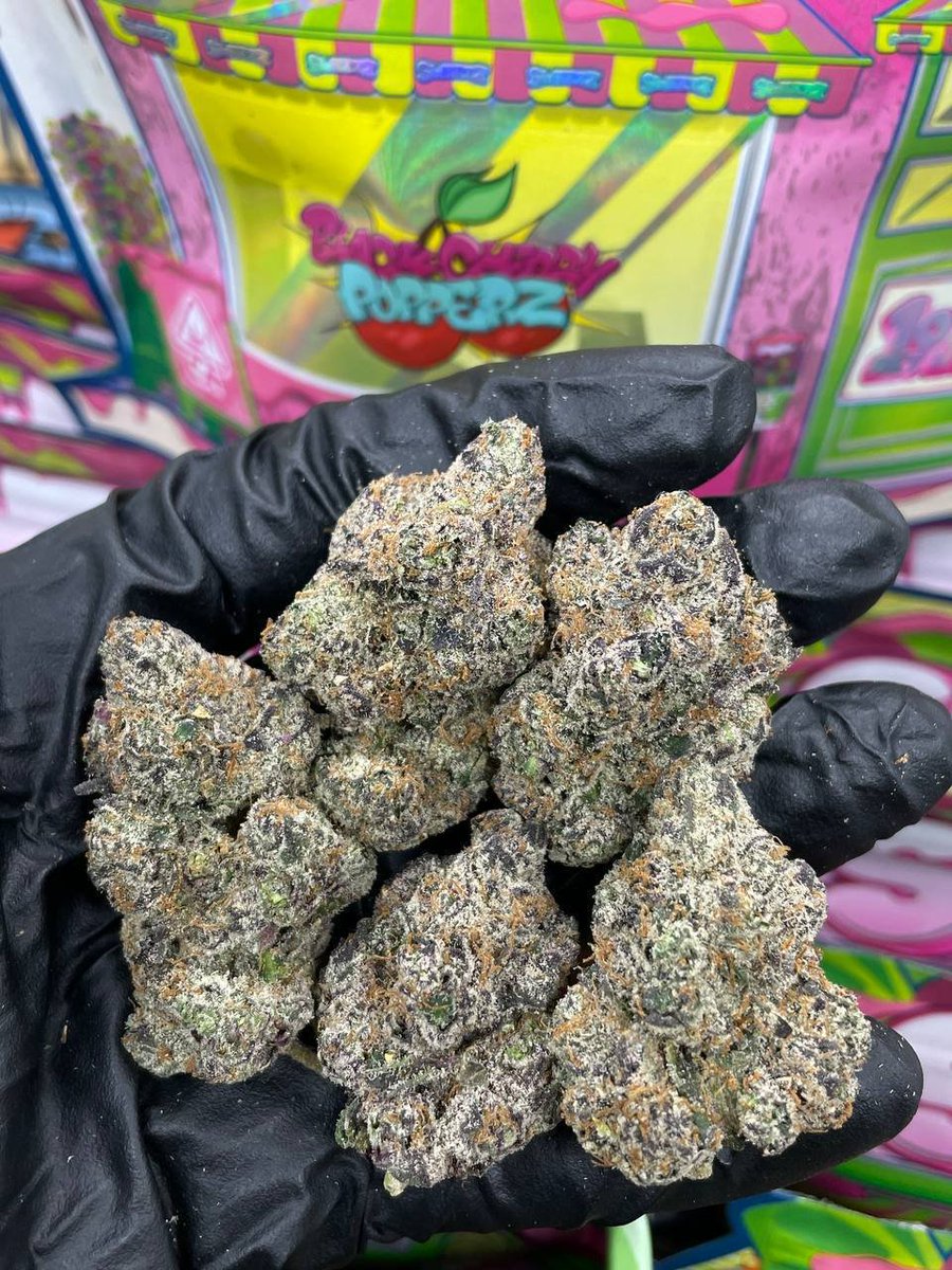 EVAuthoHub's tweet photo. Weed Bridgeport Weed New Haven Weed Hartford Weed Stamford Weed Waterbury Weed Norwalk Weed Danbury Weed New Britain Weed West Hartford Weed Greenwich Weed Hamden Weed Meriden Weed Bristol Weed Manchester Weed West Haven Weed Stratford Weed Milford Weed Torrington Weed #salı https://t.co/civ5ITE5IO