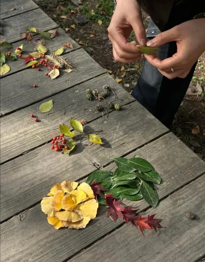stillwildnature's tweet photo. nature art https://t.co/86umBTKkgd