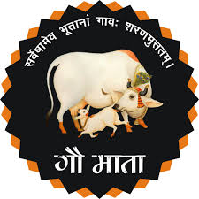 mediamaster303's tweet photo. माननीय प्रधानमंत्री श्री@narendramodi जी(@PMOIndia), हम भक्ति से भारत सरकार से दो प्रमुख मांगों को पूरा करने का अनुरोध करते हैं...
1 गौ माता के कत्ल पर पूरे देशव्यापी प्रतिबंध लागू करें2 गौ माता को पशु श्रृंखला से हटाकर आधिकारिक तौर पर राष्ट्रमाता घोषित करें।
#गोमाता_राष्ट्रमाता https://t.co/lGO5rk83If