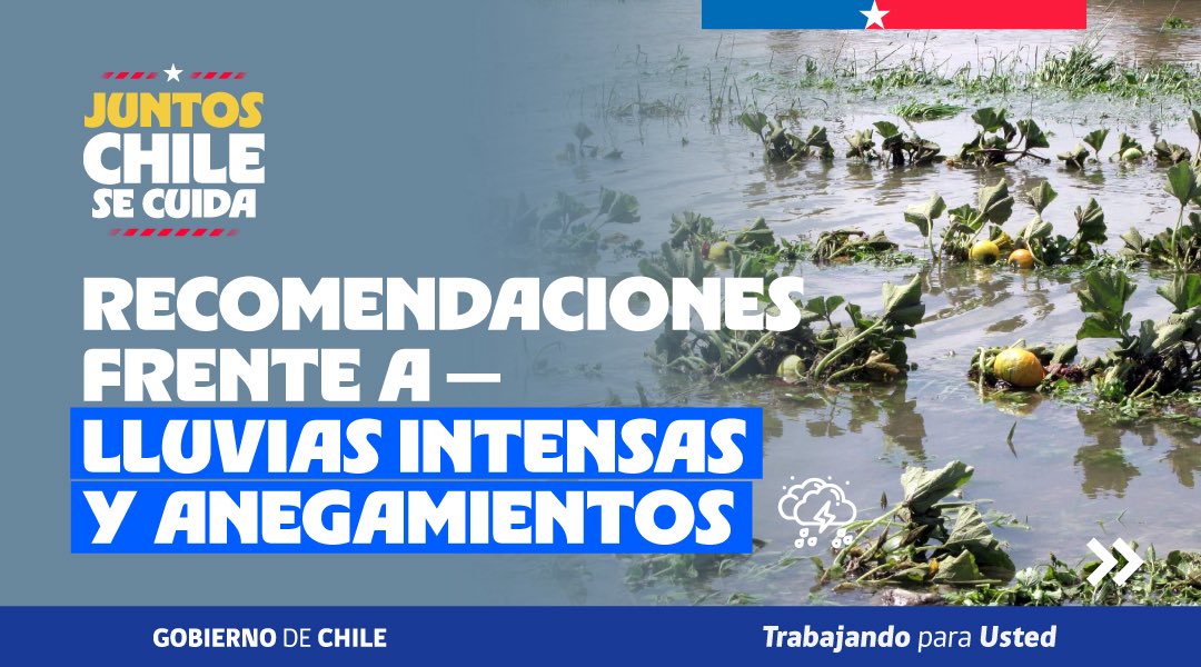 MinagriCL's tweet photo. 🌧️ Ante las precipitaciones asociadas al sistema frontal, es fundamental tomar medidas para proteger tu predio, resguardar a tus animales y reducir posibles daños en la actividad agrícola.

📋 Revisa las recomendaciones preparadas por la Unidad de Gestión de Riesgo de Desastres Agrícolas (UGRA) del @minagricl y prepárate con anticipación.
