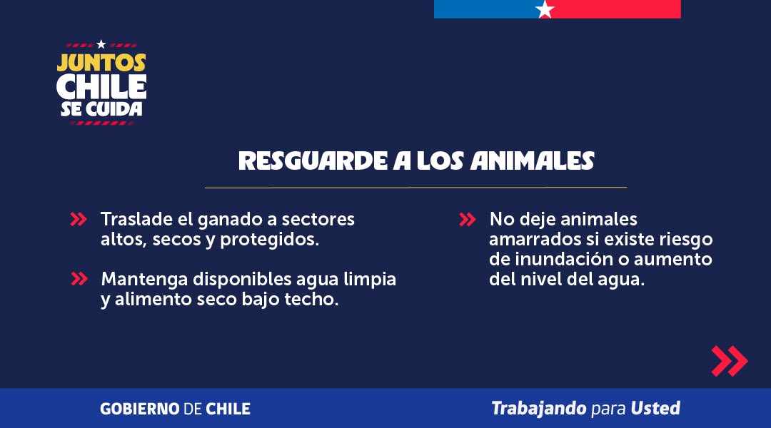 MinagriCL's tweet photo. 🌧️ Ante las precipitaciones asociadas al sistema frontal, es fundamental tomar medidas para proteger tu predio, resguardar a tus animales y reducir posibles daños en la actividad agrícola.

📋 Revisa las recomendaciones preparadas por la Unidad de Gestión de Riesgo de Desastres Agrícolas (UGRA) del @minagricl y prepárate con anticipación.