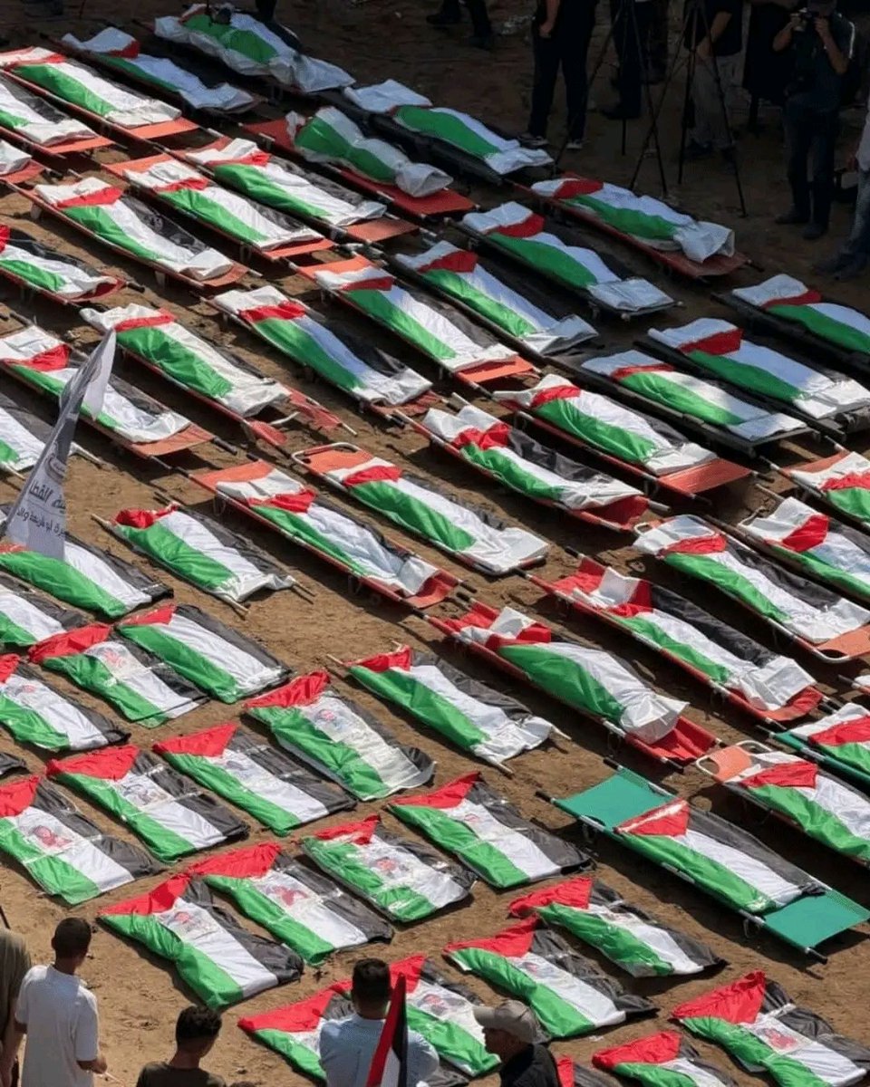 shawqialsabri's tweet photo. أكبر جنازة في تاريخ فلسطين 💔 112 قمر
ولتبق هذه المشاهد وصمة عار في ذاكرة التاريخ..

#غزة https://t.co/Rzl4HnpgLd