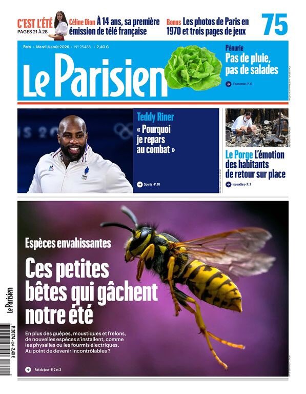 Dedodante's tweet photo. Ça va faire un beau match mais vu la taille pas sûr qu’il gagne Teddy Riner. https://t.co/1Z8OWts0li