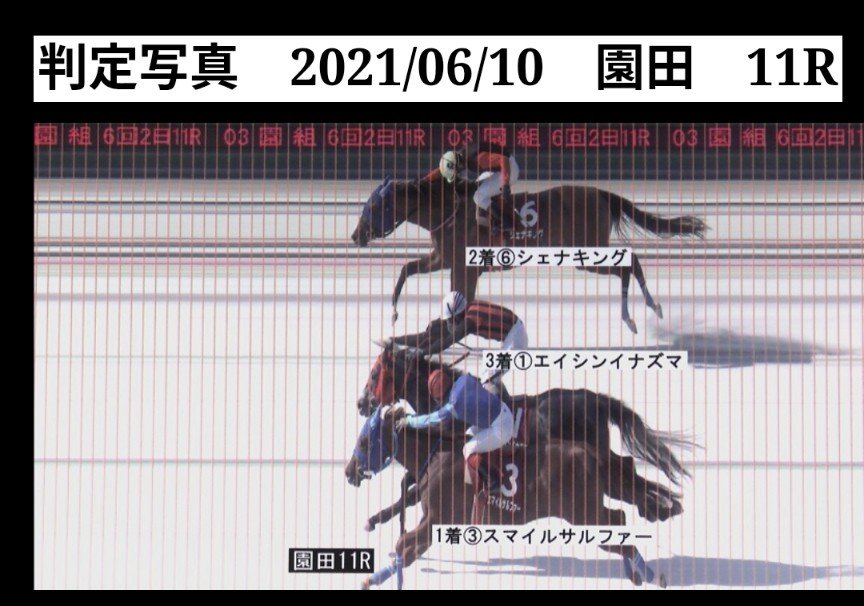 oh_harusan's tweet photo. 兵庫ダービーで、ゴール板数センチ前に出ていなかったら、サルファーがここまで現役を続けていなかったかもしれません。
オーナーさんも「兵庫ダービーを勝ったオーナー」と紹介されるようになりましたし、この賞金全額使って、その年のセリでミーシャと出会っています。
サルファーが作った道のお話。 https://t.co/lvqJr1wVnM